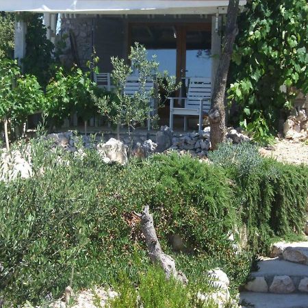 Stone House Marina-Sevid, 1 House-1 Apartment Extérieur photo
