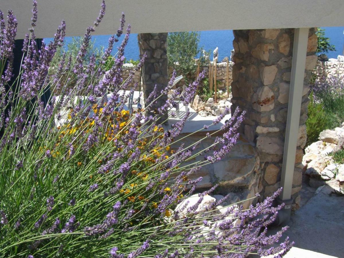 Stone House Marina-Sevid, 1 House-1 Apartment Extérieur photo