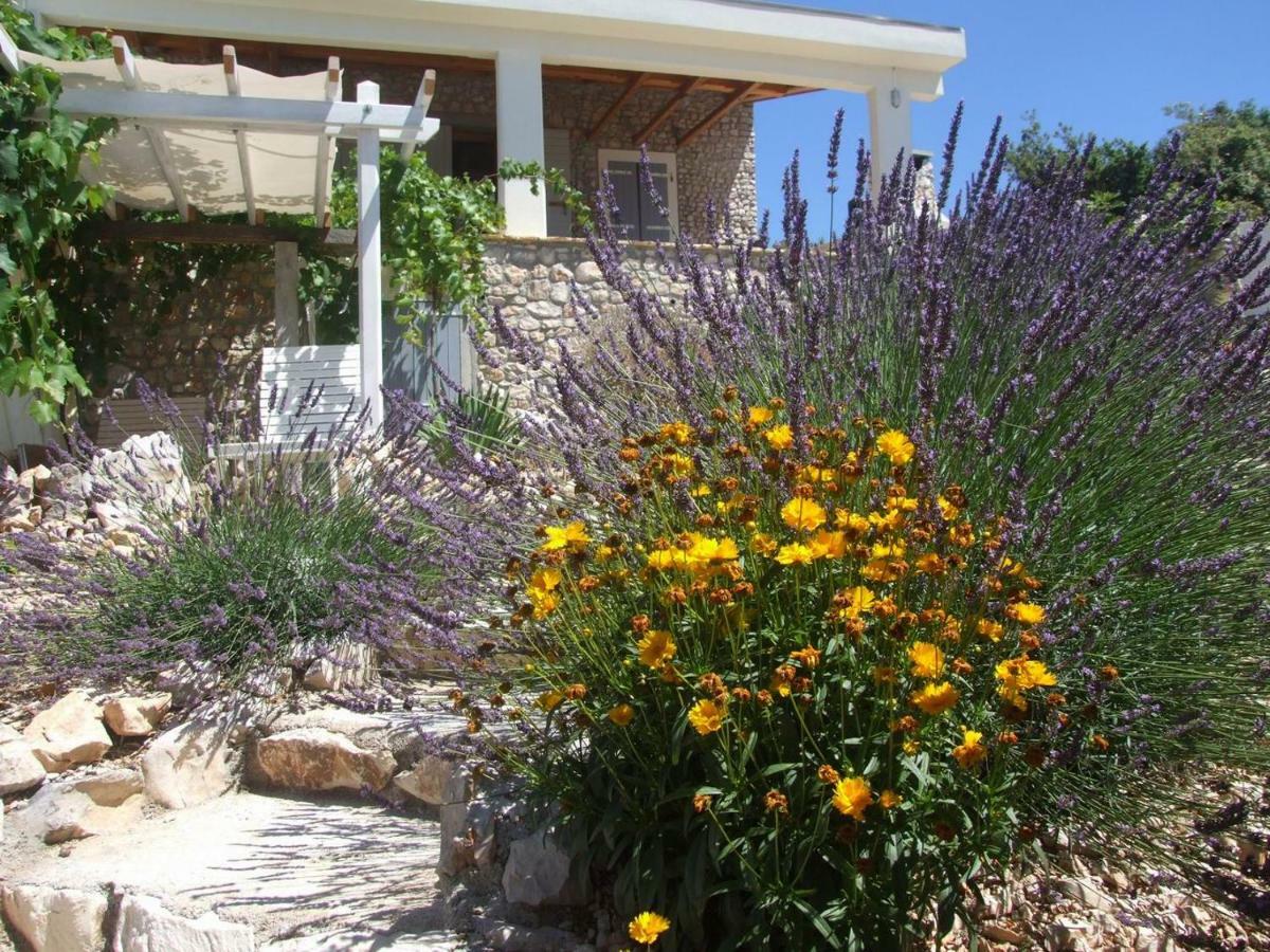 Stone House Marina-Sevid, 1 House-1 Apartment Extérieur photo